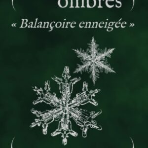 Sous les Ombres - Balançoire Enneigée